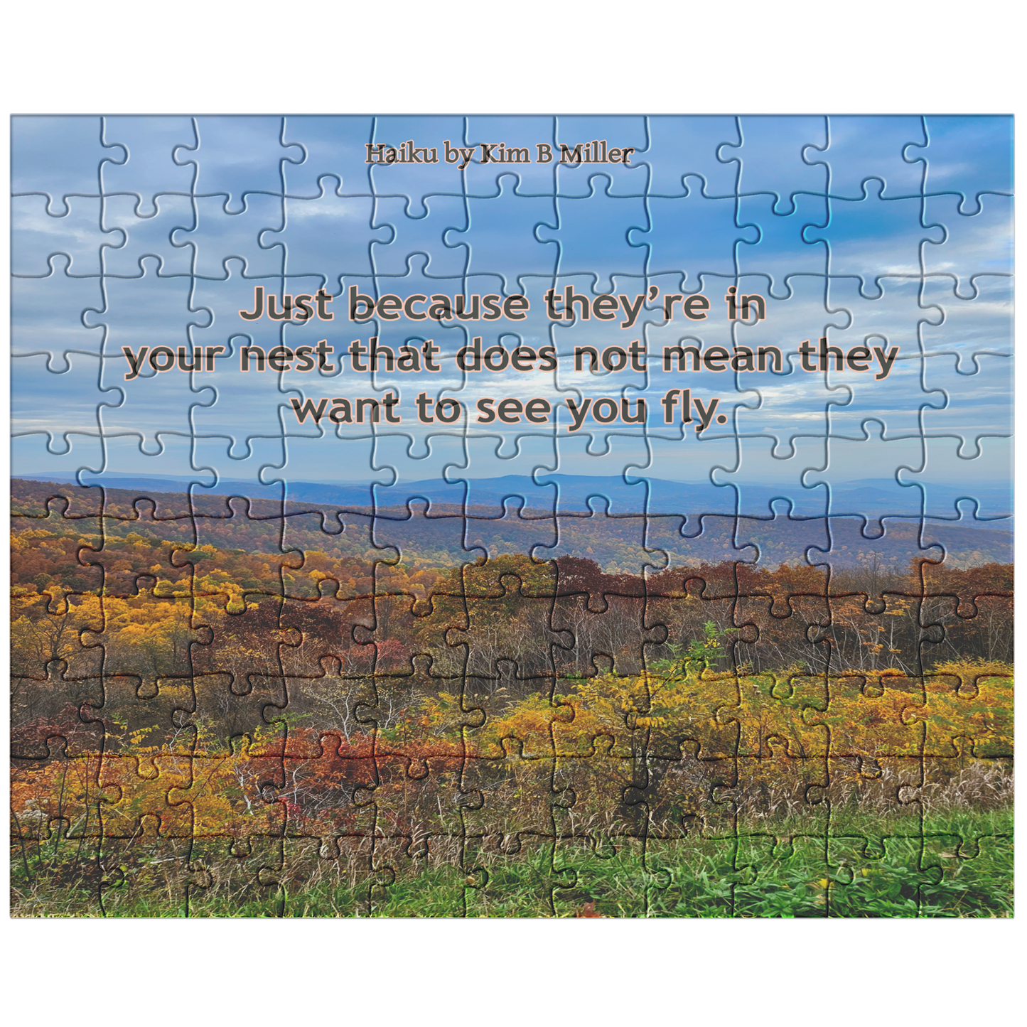 Fly Haiku: Puzzle (30pc-500pc)