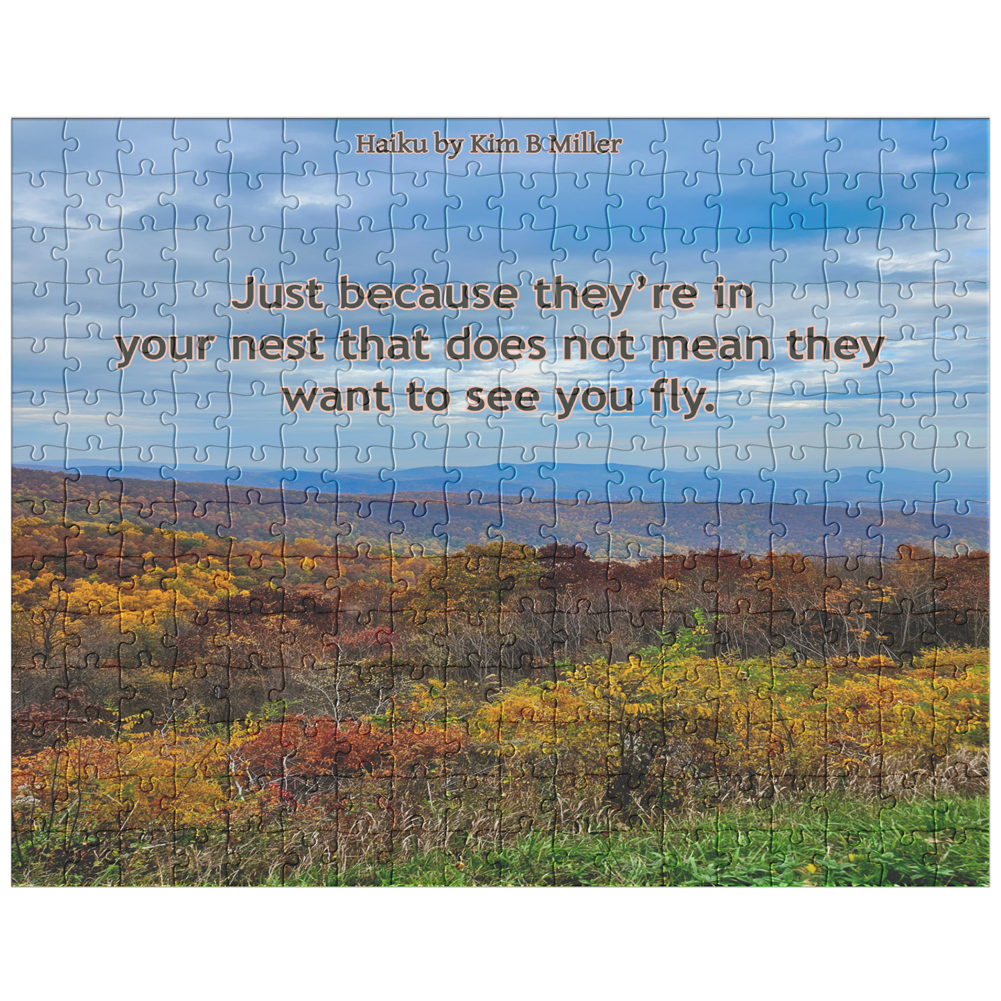 Fly Haiku: Puzzle (30pc-500pc)