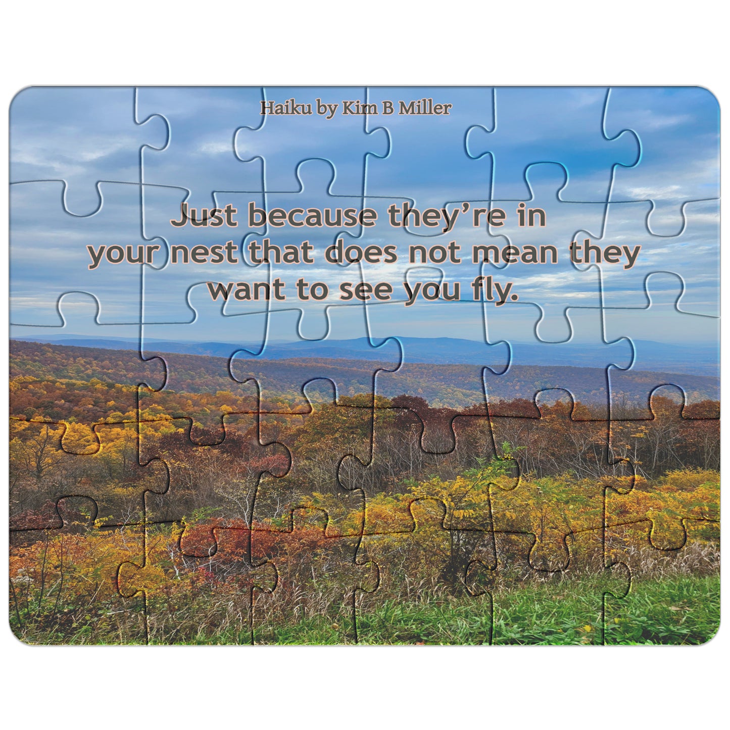 Fly Haiku: Puzzle (30pc-500pc)