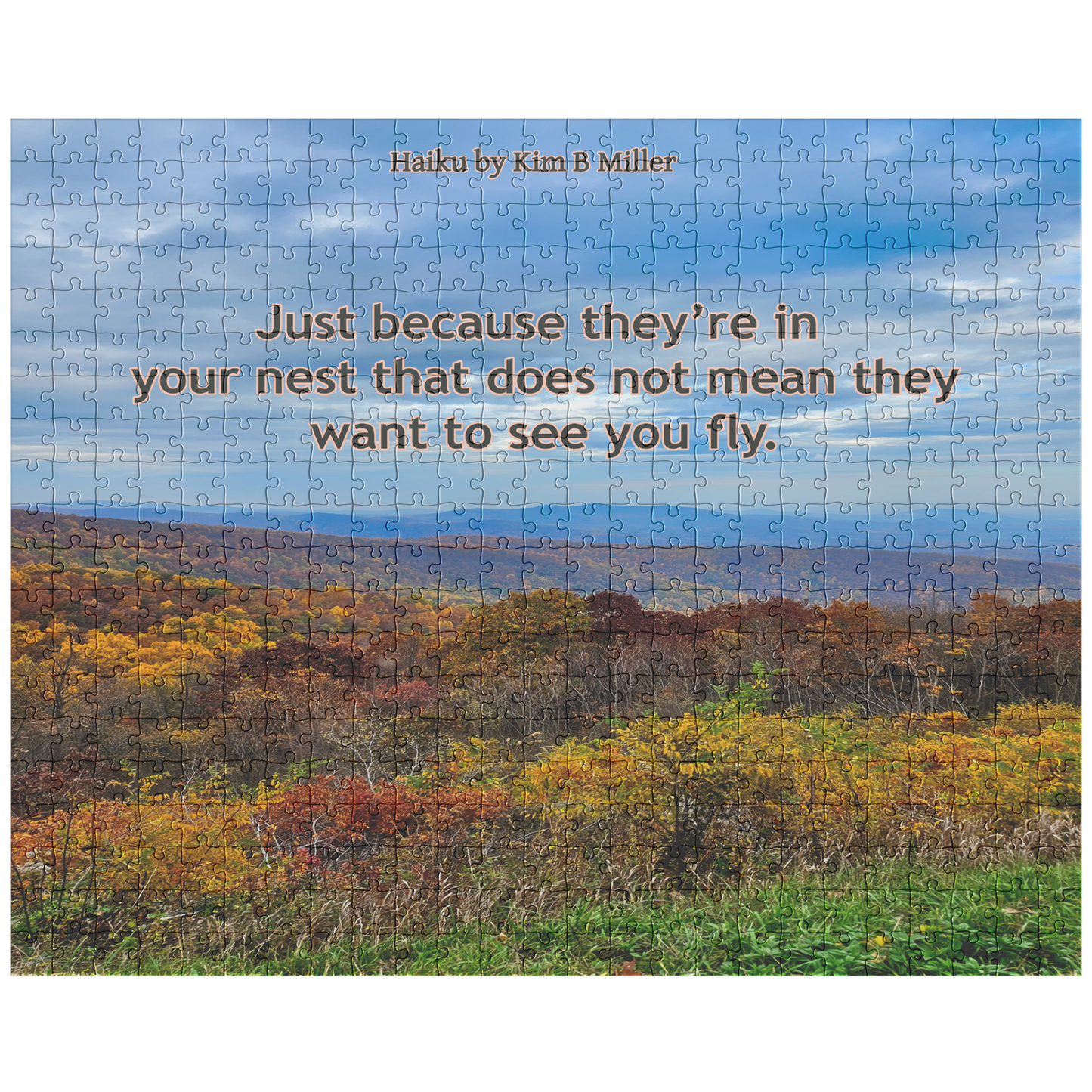 Fly Haiku: Puzzle (30pc-500pc)