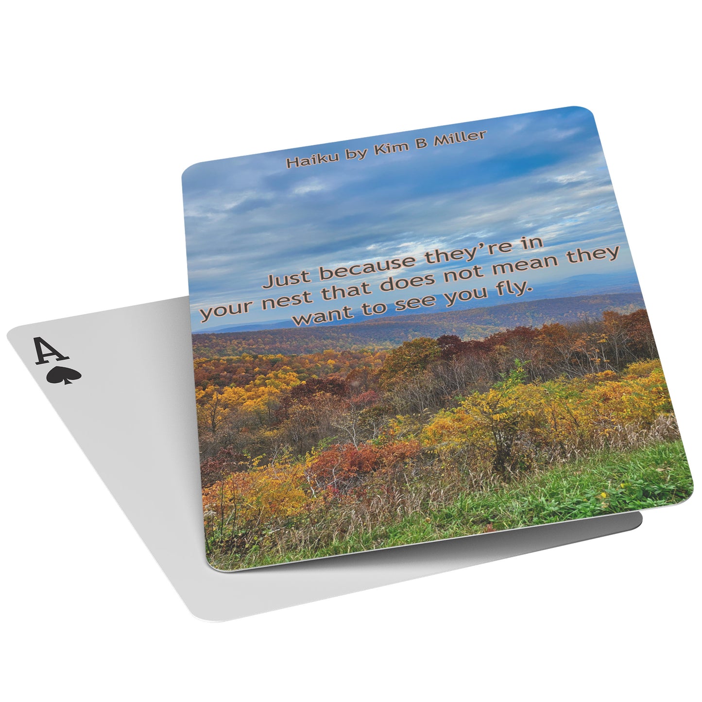 Fly Haiku: Playing Cards