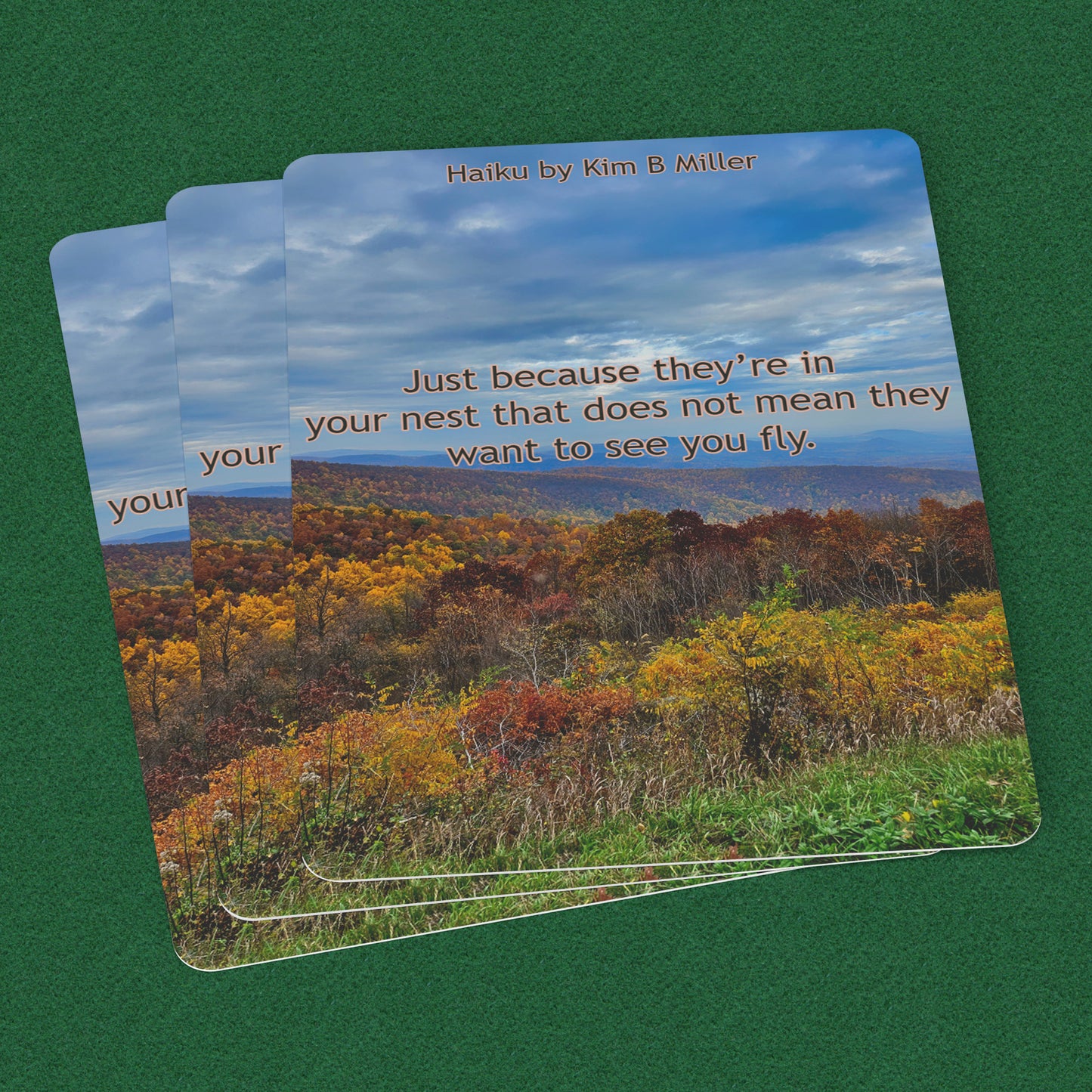 Fly Haiku: Playing Cards