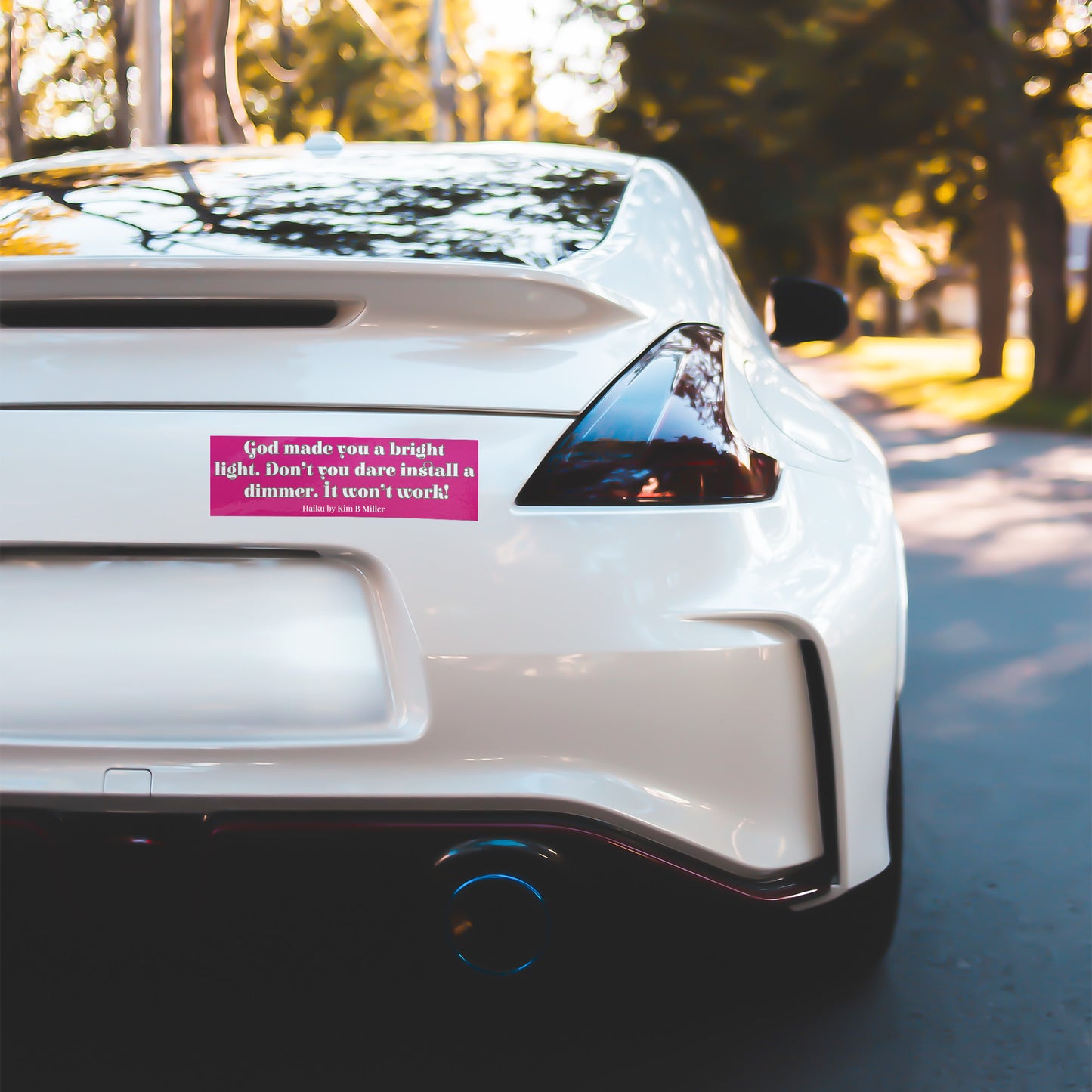 God Dimmer Haiku Bumper/Laptop Sticker Pink