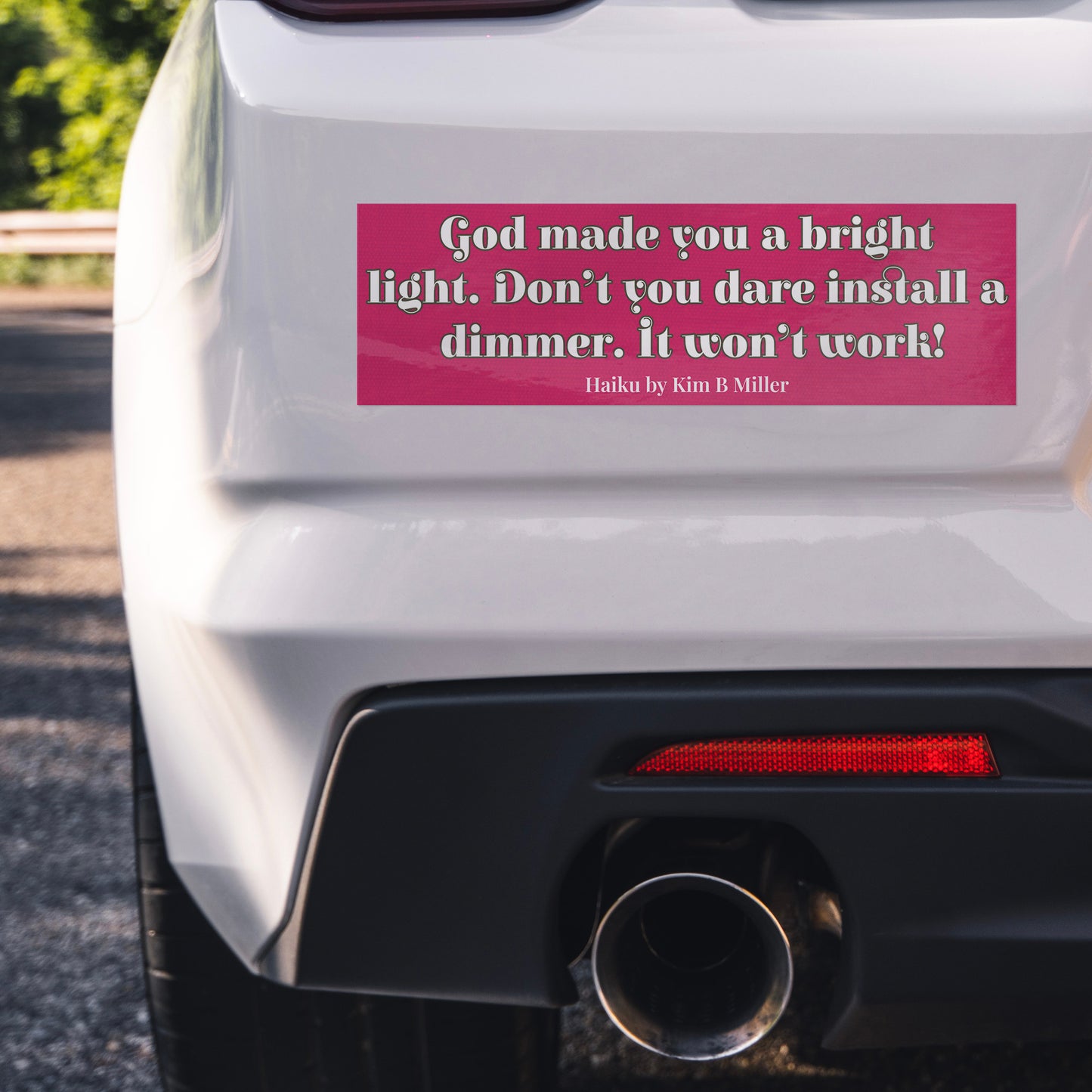 God Dimmer Haiku Bumper/Laptop Sticker Pink