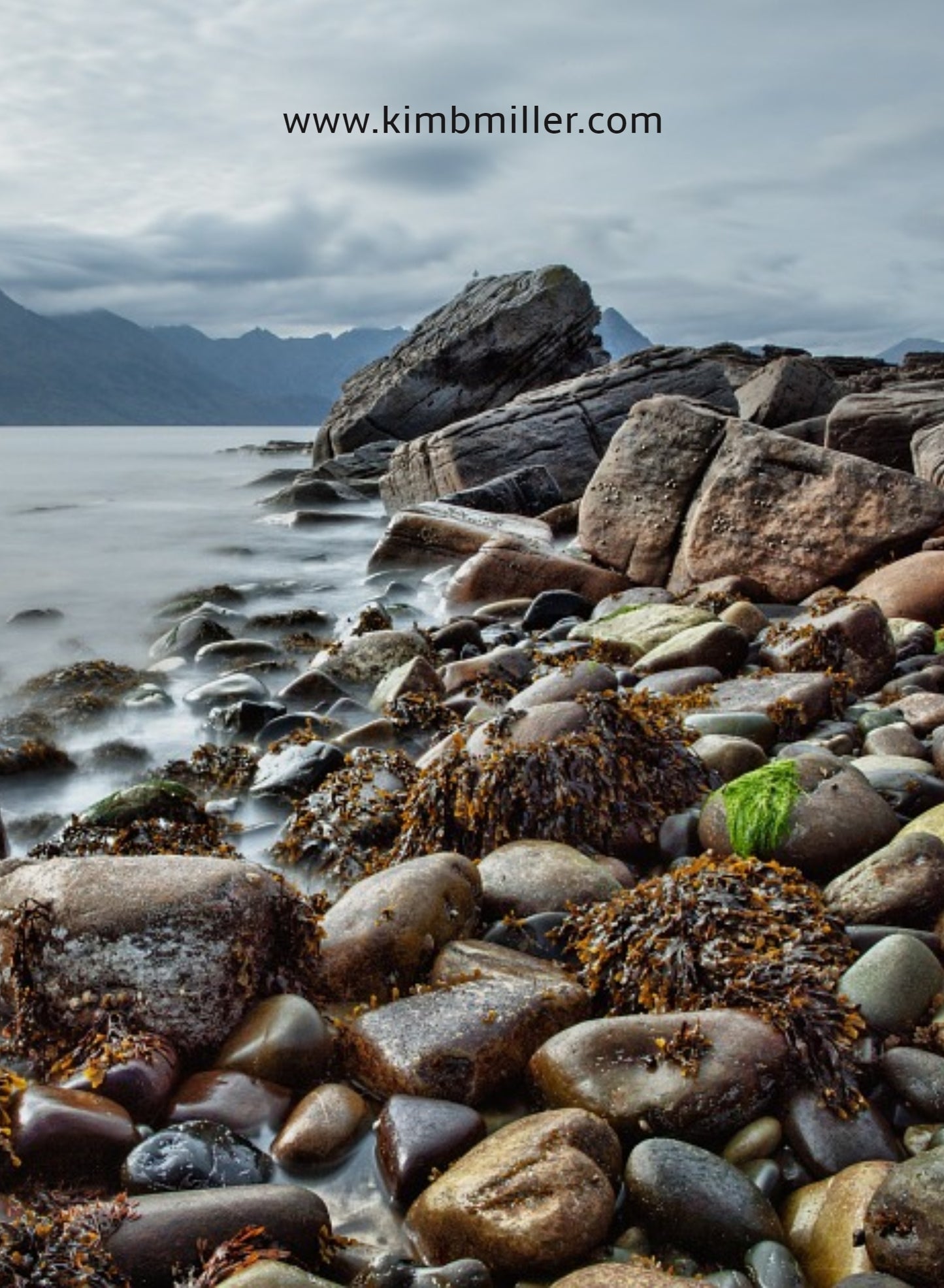 Limited Edition: Journal, Hope on Purpose