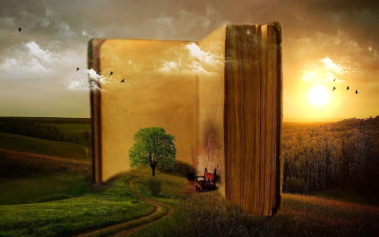 Books and Books