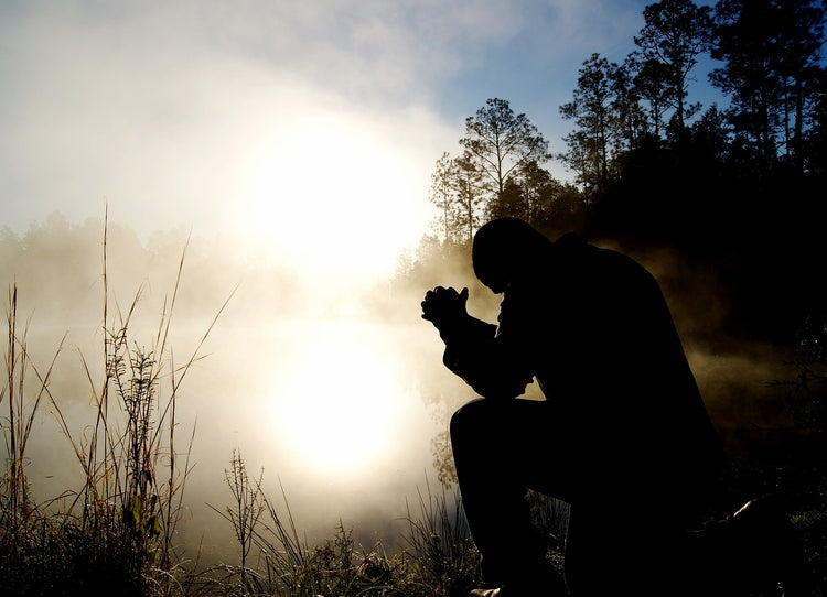 God-Centered Collection