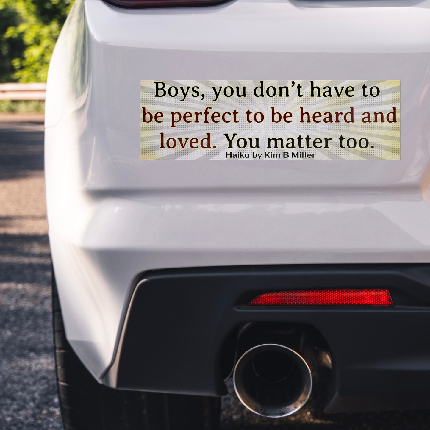 Boys Loved Haiku Bumper/Laptop Sticker Burst