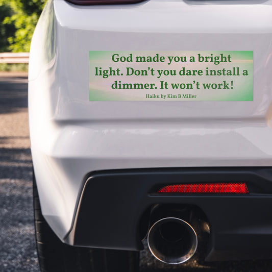 God Dimmer Haiku Bumper/Laptop Sticker